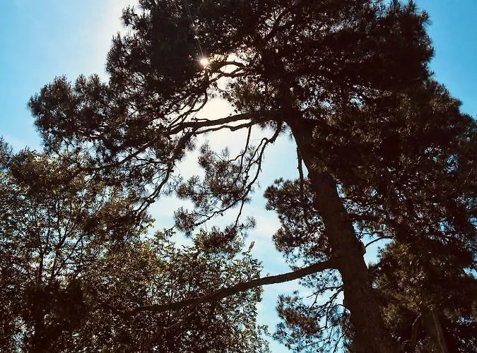 Brettino- Pesaro Mare E Cultura - Intera Con Piscina