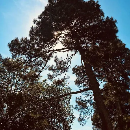 Brettino- Pesaro Mare E Cultura - Intera Con Piscina